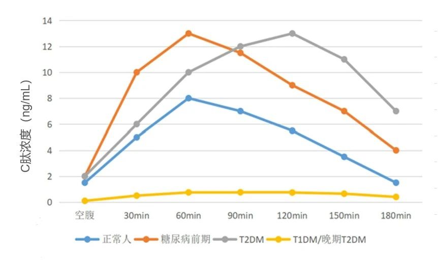 胰岛素与 C 肽,不可不知的 8 个问题(图2) 2.jpg
