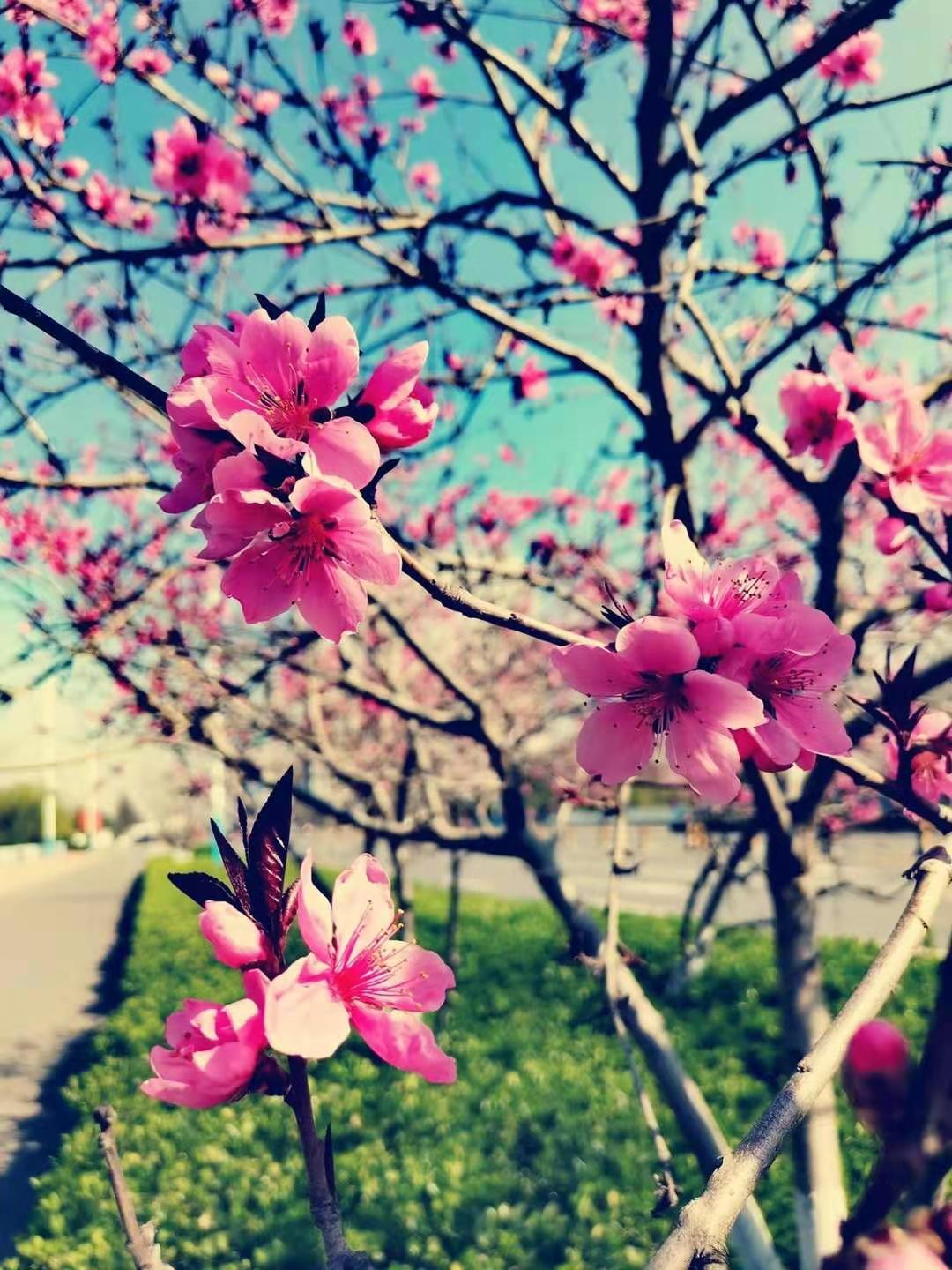 女性健康“十二时辰” ——把每时每刻的健康送给美好的她(图3)